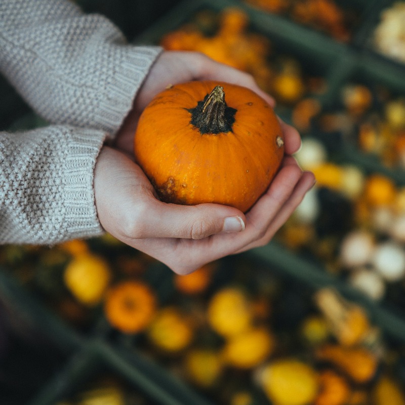 Vancouver_USA's tweet photo. Fall is one of the best times at the @VanWafarmersmkt! Stop by every Saturday and Sunday until the end of October. ๐ Then the official Fall Market starts November 5th and is every Saturday until December 17. ๐ฒ #VancouverWA #SupportVanWA
