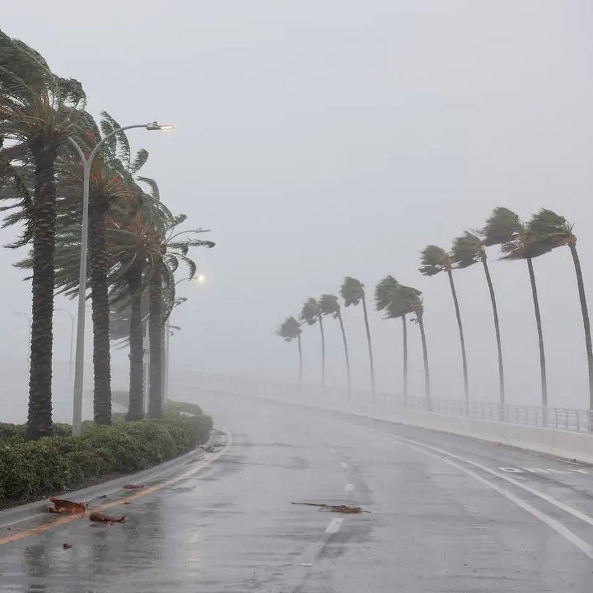 PlumpEng's tweet photo. The Florida Hurricane is impacting millions, please partner with us by retweeting or help donate to those in need using the links below. #hurricaneian 

https://t.co/0tmQkFiwKF 

https://t.co/rEKWZgtZ3q

https://t.co/SVggh4Z76K https://t.co/tbyaFiHyAG