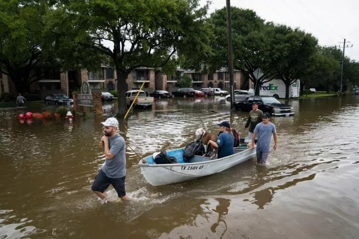 GreatNonprofits's tweet photo. Nonprofits across the country are supporting thousands displaced during Hurricane Ian. Donate here and help them take action today.

https://t.co/6fMdJc6GSL

#hurricaneian #hurricane #florida #disasterrelief https://t.co/DjQRdYXxfv