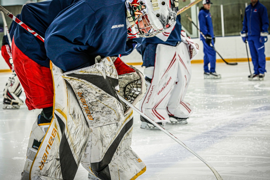 PRO Goaltending tweet media