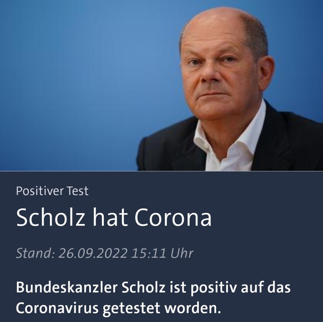 sᴘɪᴇɢᴇʟʙʀᴏ | ᴛᴡɪᴛᴛᴇʀɴᴇᴡs tweet media