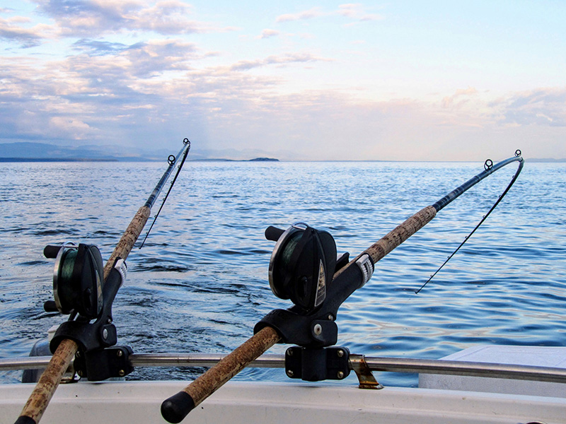 Lawn Love released their best states for fishing ranking, and California fell into 20th place with an overall score of 29.15. #TheLog #Beststatesforfishing #LawnLove #Californiafishing 
thelog.com/snw/lawn-love-…