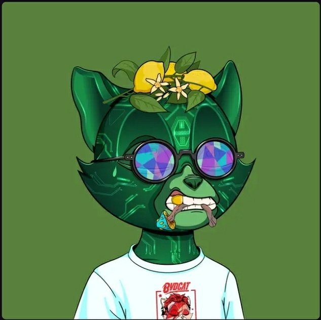 sollibrary's tweet photo. @clat_bomba HOTTEST PROJECT ATM #WEBVD https://t.co/eQQHy1j9rm