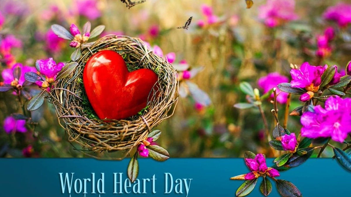 yubrinemoraa's tweet photo. The best way to keep your heart in a healthy state is by eating right, sleeping right,exercising and not taking stressโฆ.
World Heart Day is for us all โค๏ธ ๐ ๐
#WorldHeartDay
#usehearttoconnecteveryheart
#usehearttobeatCVD
@DialogueHealth
@kenyacardiacs
@KMWA_Official https://t.co/NALiuKQD2e
