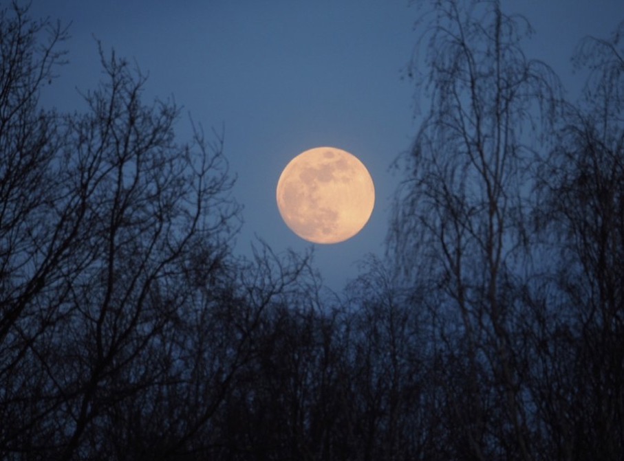 „Wenn Lärm die Haut deiner Seele entstellt,
leg dir den Mond aufs Gesicht 
und beschweige die Welt.“
Gute Nacht mit Rabbi Nachman