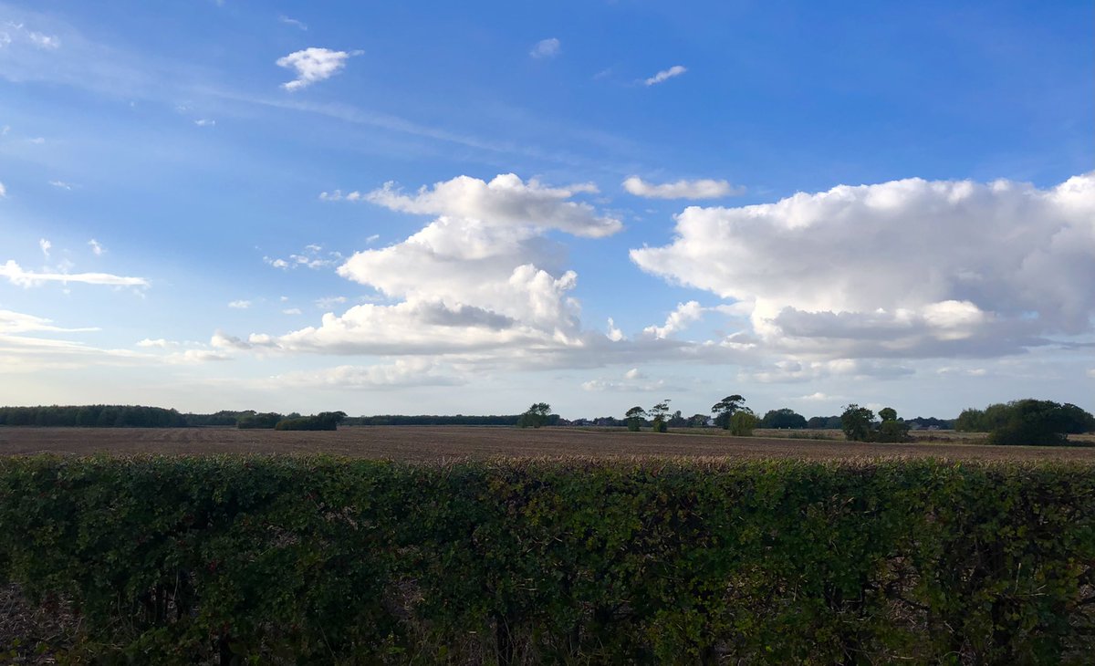 zevonesque's tweet photo. It was a bit warmer in the sun at one point this afternoon and, although autumn is indisputably upon us, the light (apart from when it’s in your eyes when driving) can be better than summer. #DailyDeliveryPhoto https://t.co/e9B6kls7PR