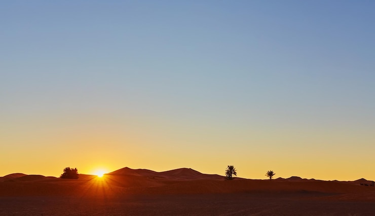 sahara_morocco's tweet photo. Visit: https://t.co/yjzHMHGMuM
.
.
#Morocco #Tours #sahara #desert #Travel #travelagency #travelers  #vacation #travel #hiking #tourist  #Moroccotrip #tour #tourism #traveling #camel #desert https://t.co/B2BHGCYUK9