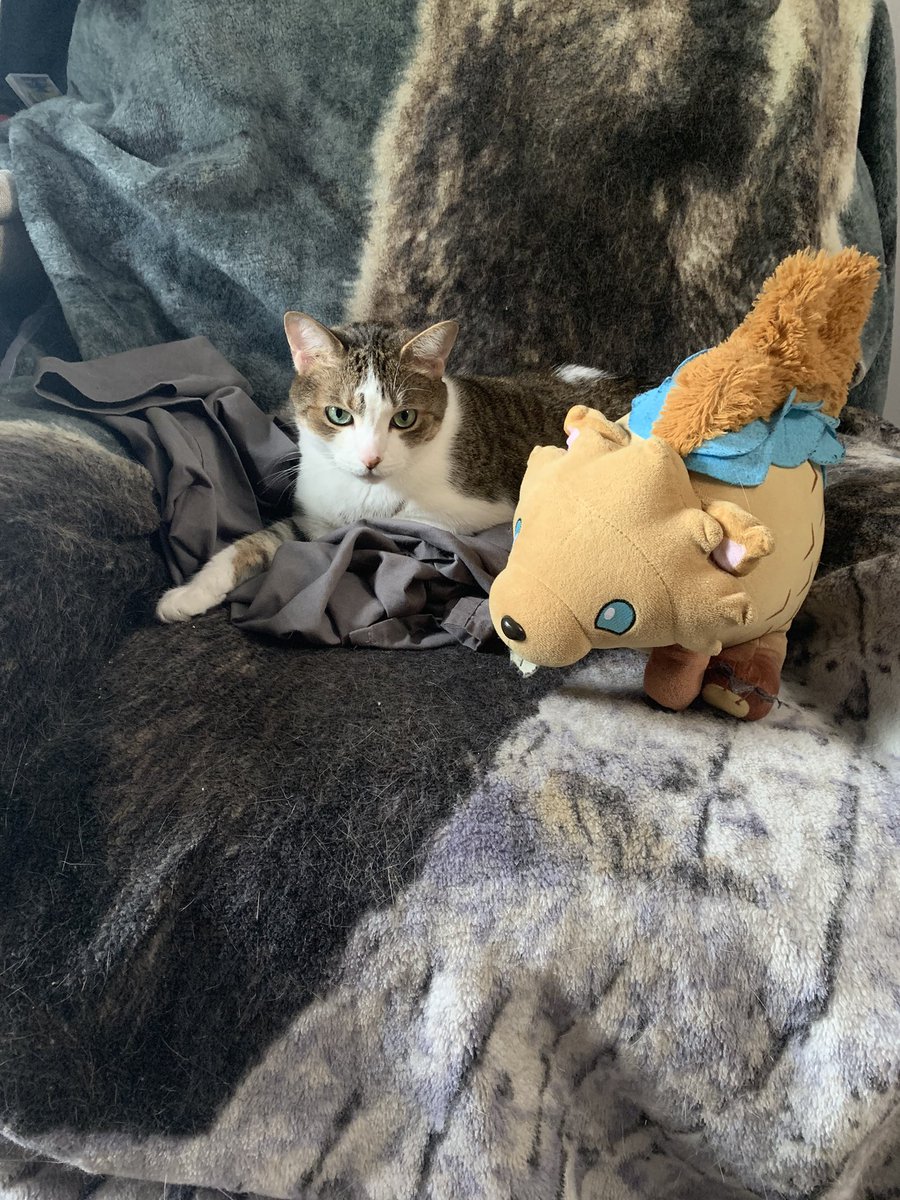 Hello. My cat is cute. Good day.