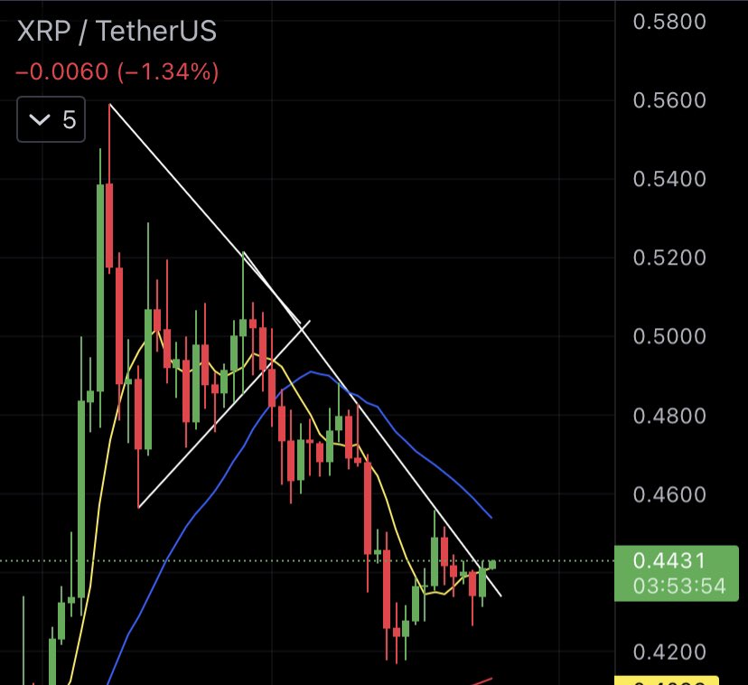 Oudzel's tweet photo. Long $xrp and thank me later https://t.co/HBRPVi3slH