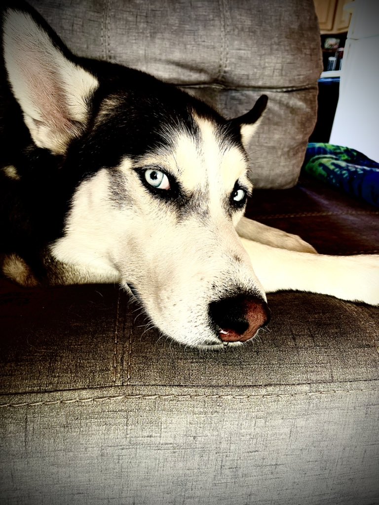 Almedia Ryan tweet media