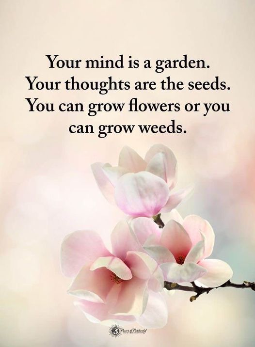 TrainingMindful's tweet photo. . https://t.co/9da7QVgQ78