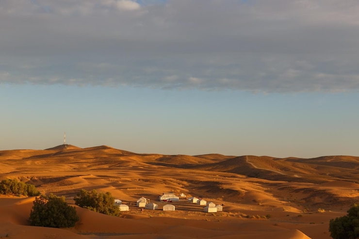 sahara_morocco's tweet photo. Visit: https://t.co/yjzHMHGMuM
.
.
#Morocco #Tours #sahara #desert #Travel #travelagency #travelers  #vacation #travel #hiking #tourist  #Moroccotrip #tour #tourism #traveling #camel #desert https://t.co/B2BHGCYUK9