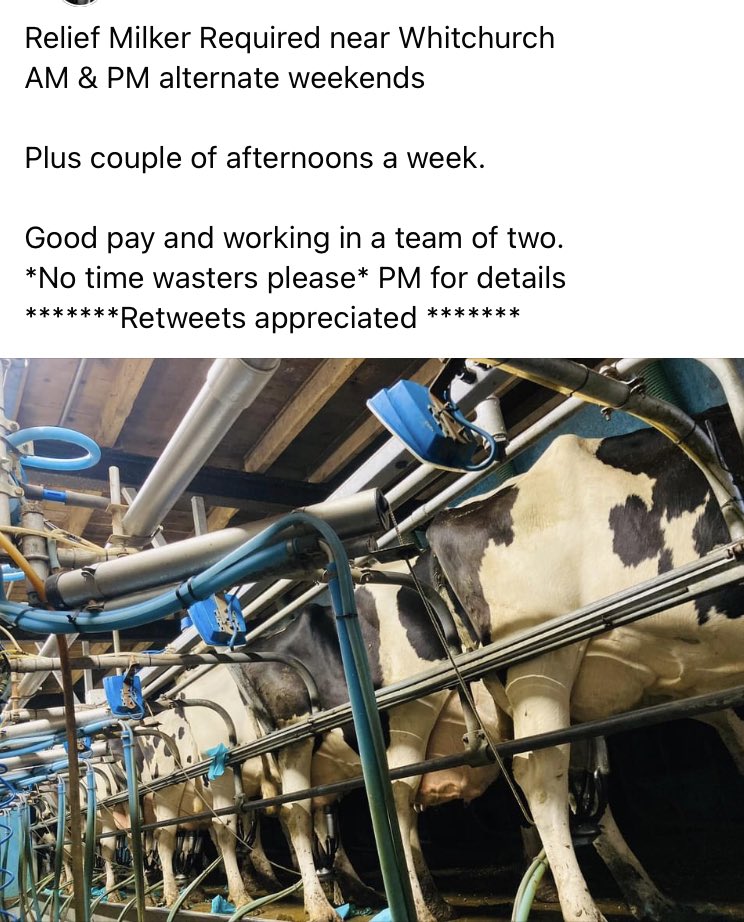 FitasFarmrswife's tweet photo. https://t.co/ItVnY3hIOT