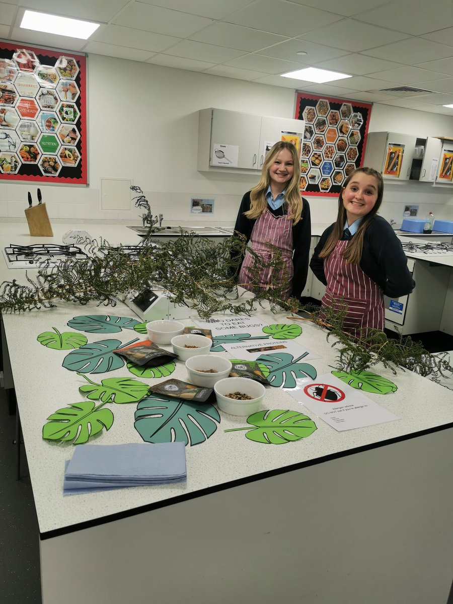MCS_DT's tweet photo. What a success! Opening evening in DT... We had a hazardous area 🐭🐁🔪💧🔊📣🗑️🩹🚫⛔
Critter treats 🐛🐜🦂🦟
Popcorn making station and a sugar challenge 🗯️
Live cooking and tasting 👨🏻‍🍳👩🏼‍🍳
The evening was made exceptional by all our amazing pupils 🙌
Thank you 👏👏👏 https://t.co/zU9MCDTQfo