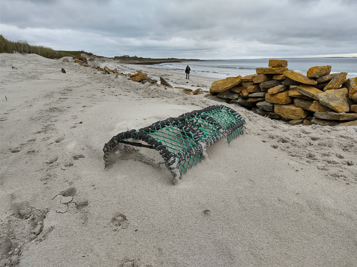 NorfolkBea's tweet photo. Absolutely gobsmacked by the amount of #ghostgear &amp; other crap on the beach between #Noster &amp; #Howar on #NorthRonaldsay just a stone's throw away from @NRonBirdObs 
Also spotted 2 dead #hedgehogs &amp; one gull corpse with metal ring (reported).
Feeling quite disheartened.☹️ https://t.co/xAx011xt4p