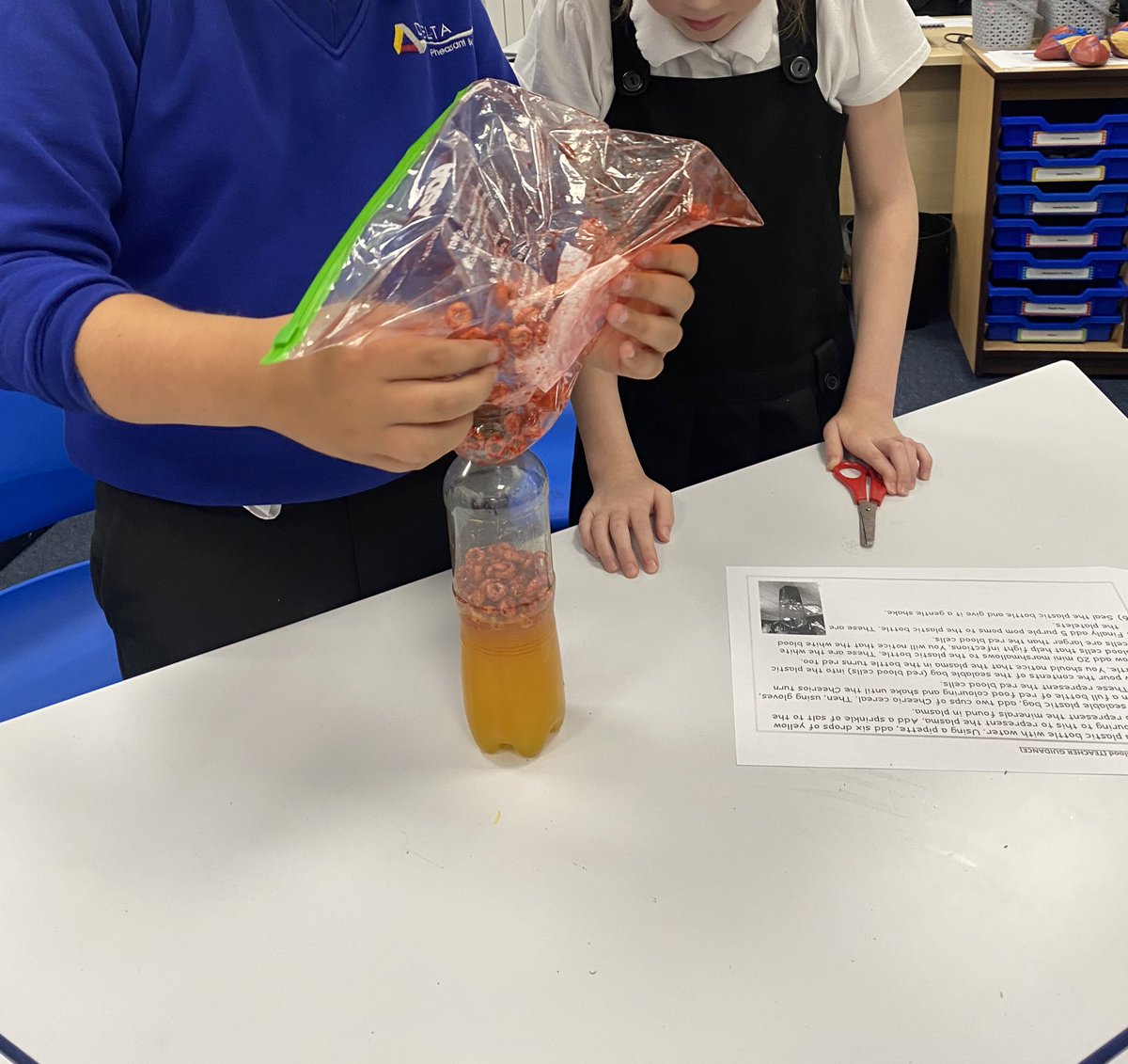 DeltaPheasantB's tweet photo. Year 6 Turtle Doves have carried out a fantastic experiment this week to deepen their knowledge of blood and it’s components. #PBAscience #PrimaryScience https://t.co/f2LfdjlEmc