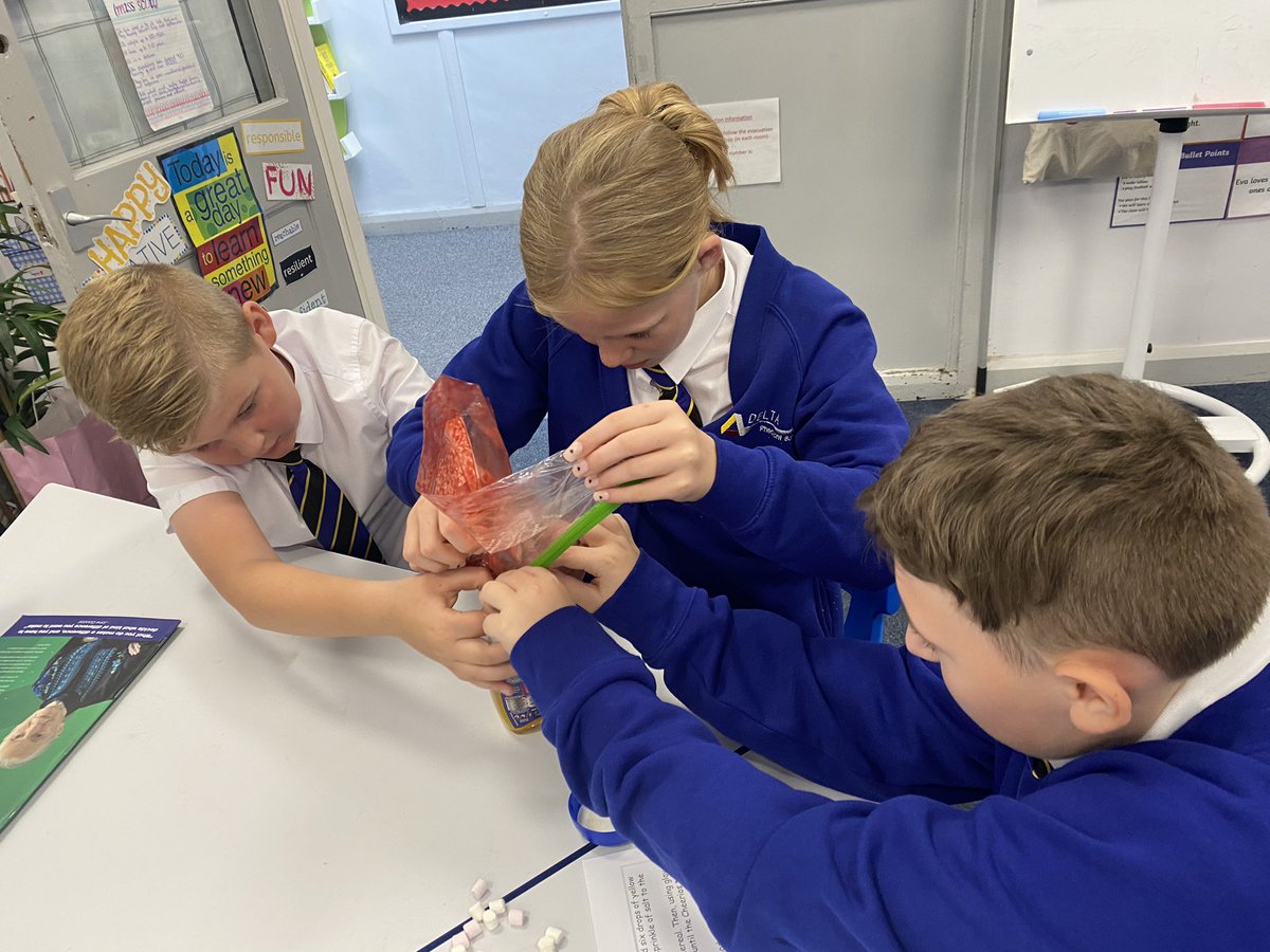 DeltaPheasantB's tweet photo. Year 6 Turtle Doves have carried out a fantastic experiment this week to deepen their knowledge of blood and it’s components. #PBAscience #PrimaryScience https://t.co/f2LfdjlEmc