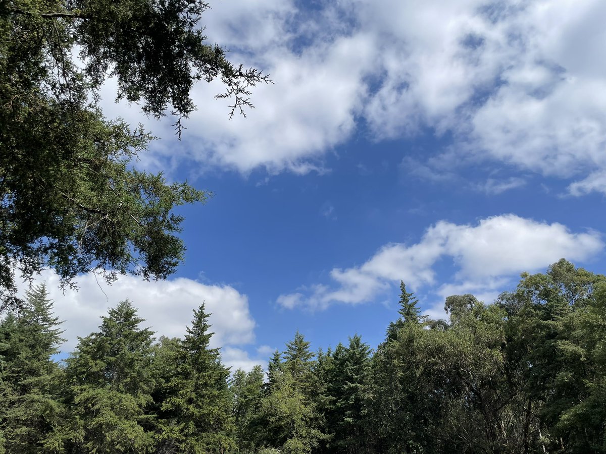 RebecaNavarro's tweet image. Hoy el cielo estaba especialmente bonito en la mañana. 🙂 #loqueveomientrascorro