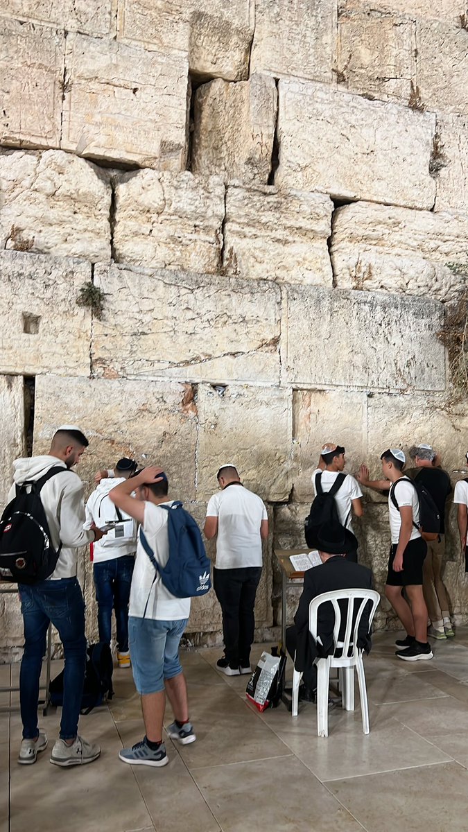 Rexnoooo's tweet image. 