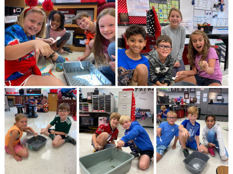 Joy McPherson tweet media