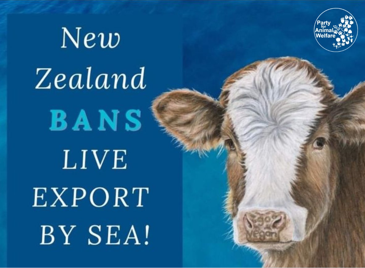 AnimalPartyIE's tweet photo. #party4animalwelfare : BREAKING NEWS FROM #NewZealand !!! 🇳🇿💙🐃🐏🐐🦌
The live export of cattle, sheep, goats & deer will end on April 30th, 2023 in NZ.
Next Ireland please in 2023 too!
#BanLiveExports
#BanAnimalExport
#DefundLiveExport #Budget2023Ireland #Budget2023 https://t.co/75tKsE9EaC