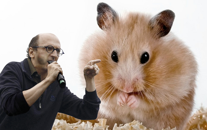 Rémi Benoit tweet media