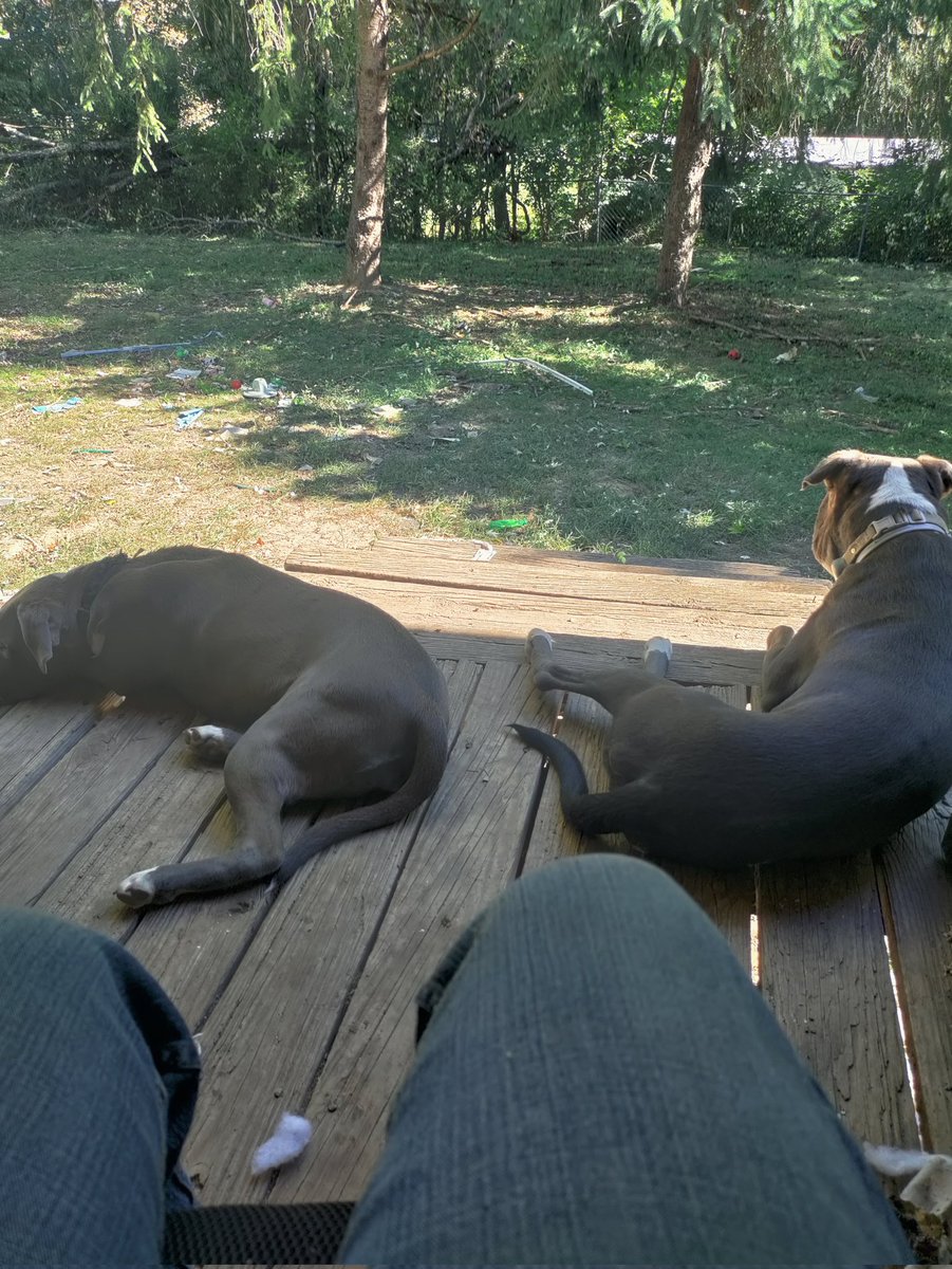 WilliamDake6's tweet photo. DAKE FAMILY PROTECTION https://t.co/HEslFcg80t