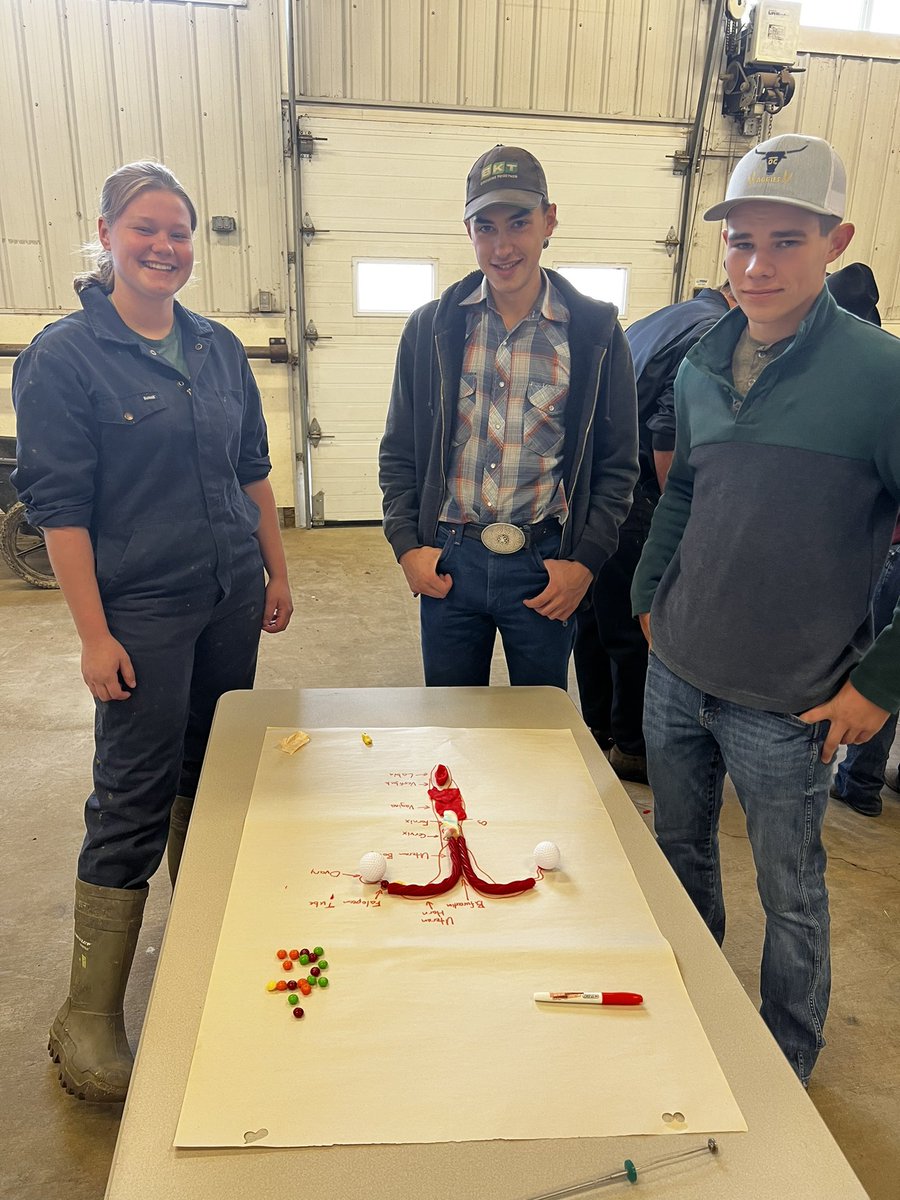 chris chalaturnyk tweet media