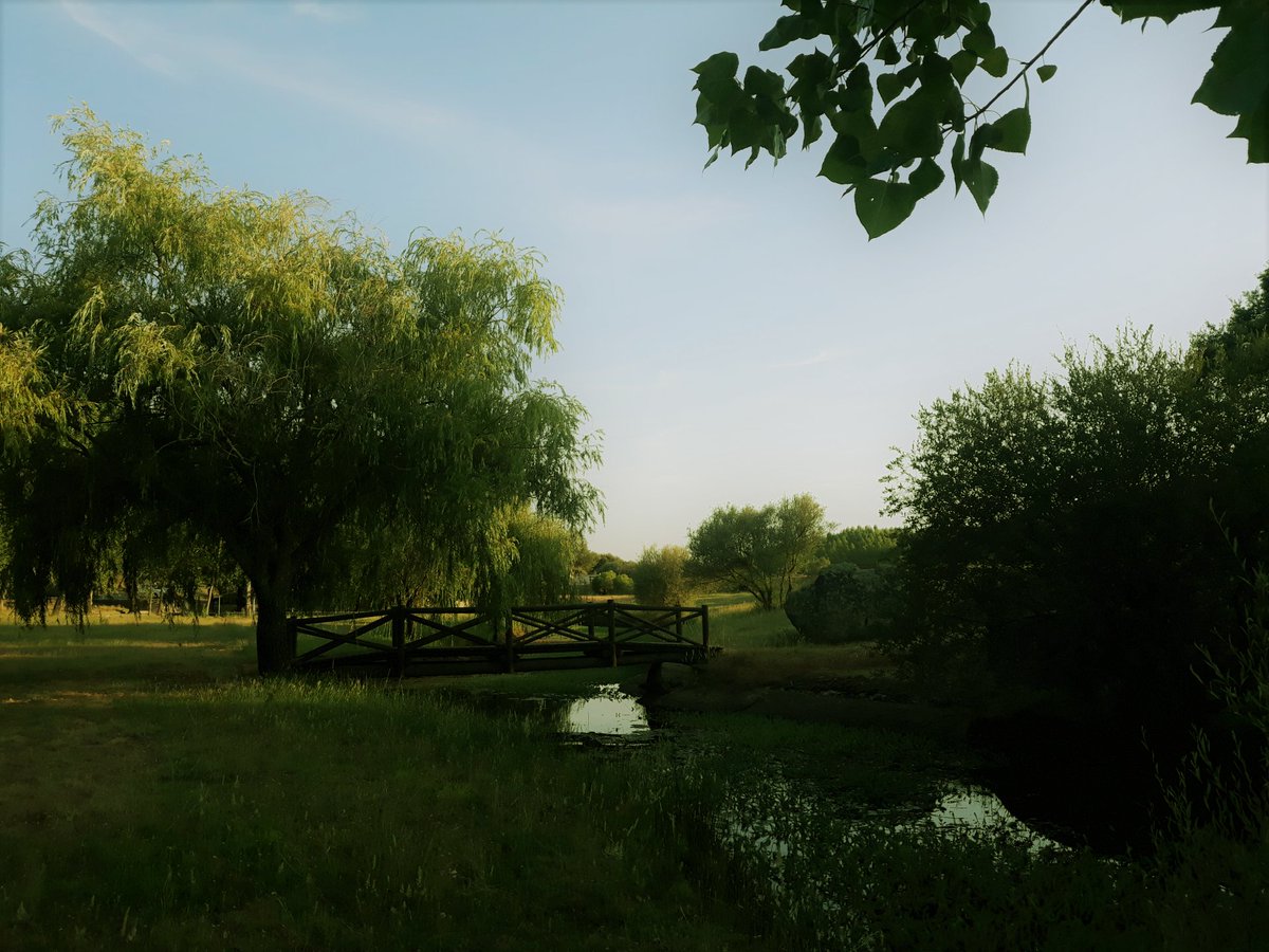 diana_therose's tweet photo. Bob Ross could have painted this #happylittletree 😌
#RibeiradaVenda #Comenda #Portalegre #Portugal #outdoors #adventure #greenplaces #nature #naturelovers #river #beautifulplaces #magicalplaces #romanticplaces #likeapainting #cottagecore #woodenbridge #contemplation https://t.co/MqSR1IKXu4