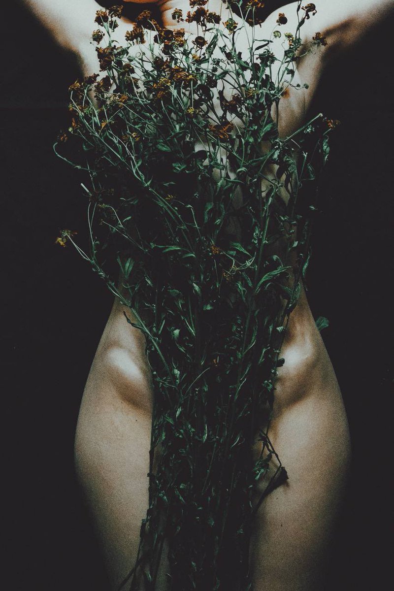 alive vase for dead flowers
“vase”
9/10
3xtz
#nftphoto 
objkt.com/asset/KT1RJ6Pb…