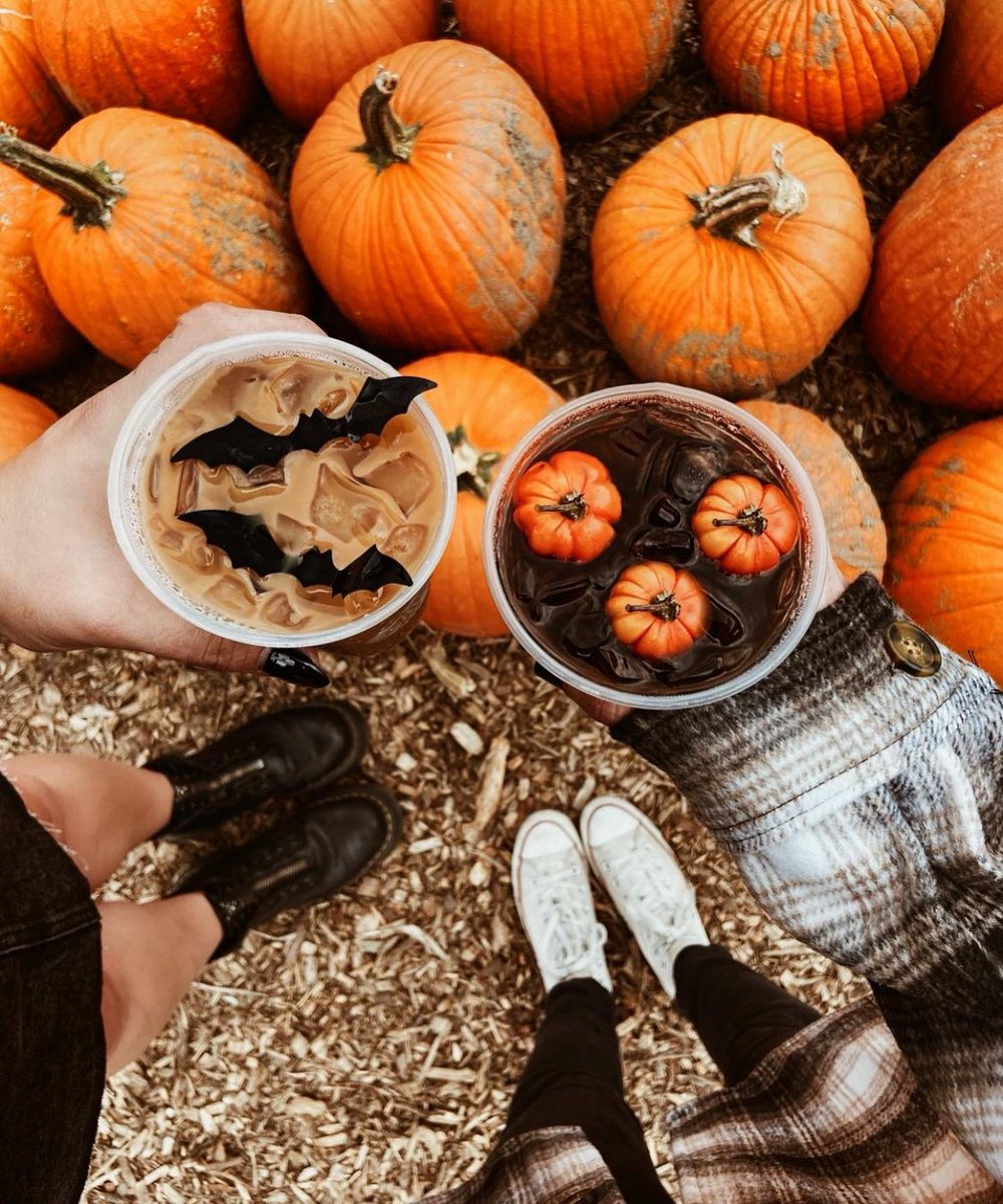 The best time of year is upon us. 🎃👻🕸🧡