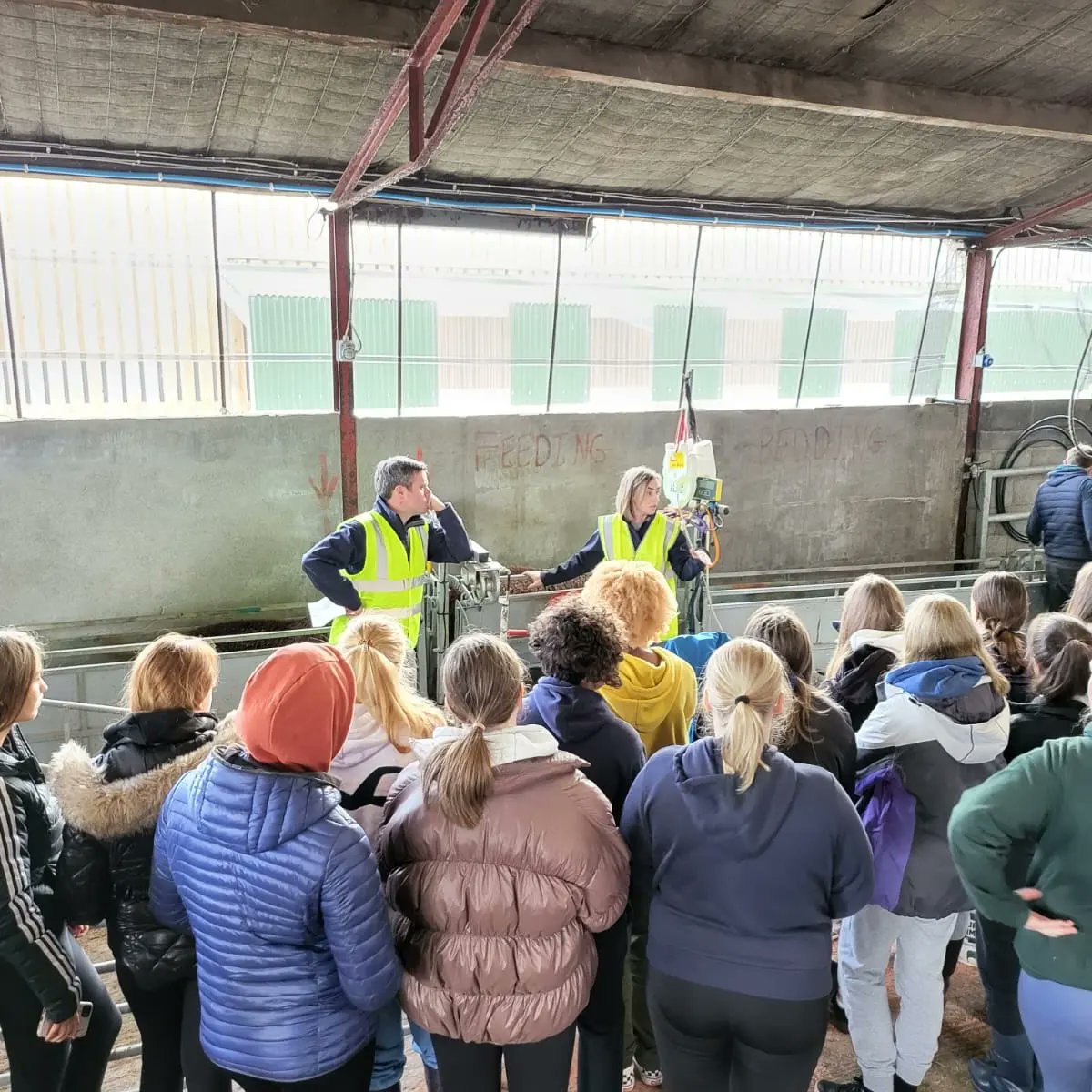 conroyfarmtours's tweet photo. Dominican College Galway, Taylor's Hill TY: Part 1
We had the pleasure of hosting 90 Transition Year students from Taylor's Hill over the past two days. They got a real 'hands on' feel of the day to day activities on a working Irish farm. 
@dominicangalway @AgScience https://t.co/Q7eEr0vHS6
