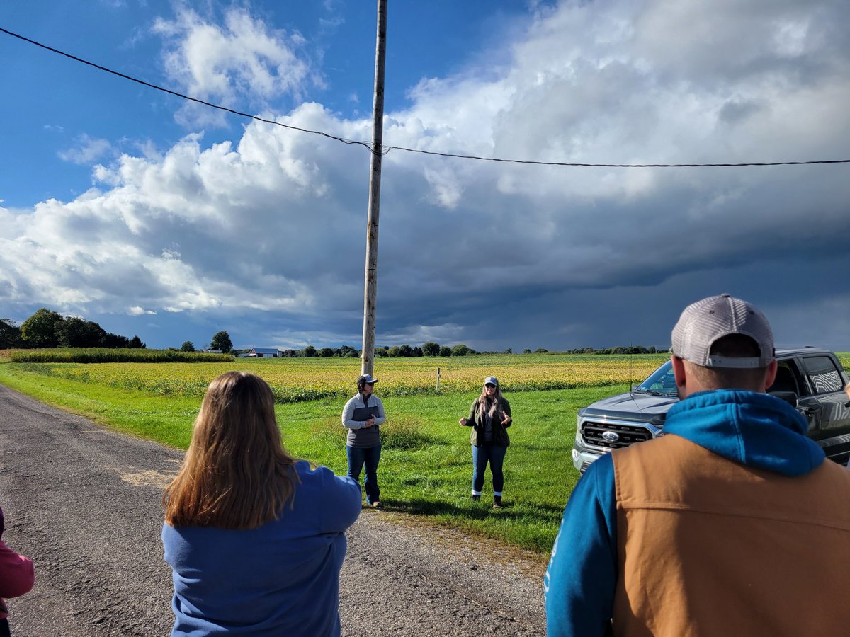 Forrest Lang tweet media