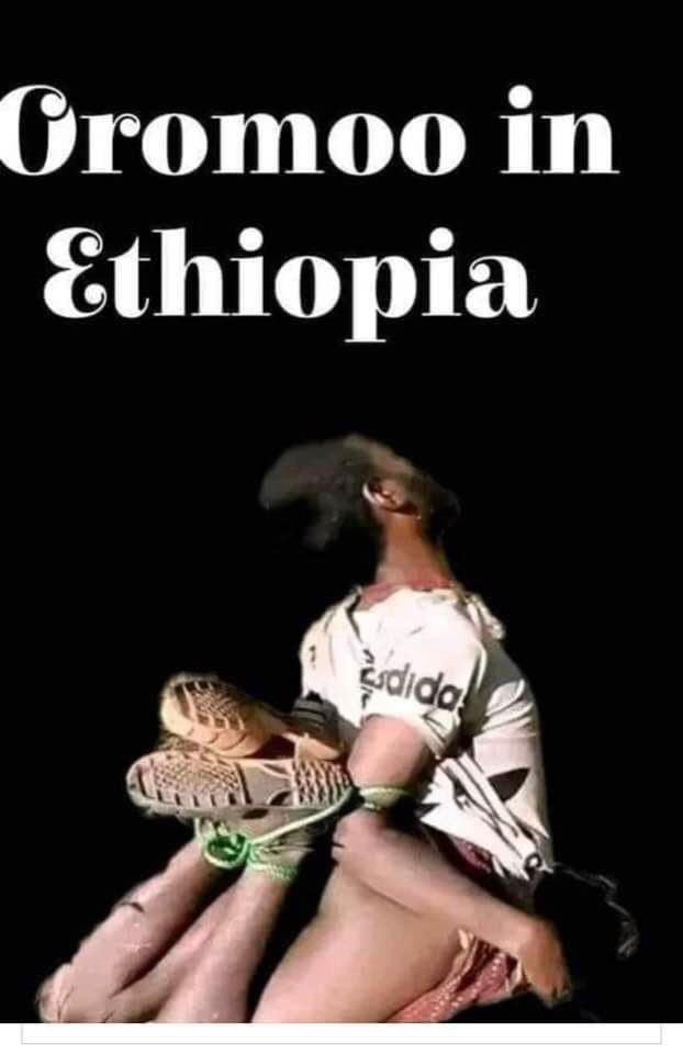 A leaked diplomatic cable purported that the extremist Amhara FANOs more than 150 Oromos in Wellegga 2 days ago &amp; not a single PP media reportedly report it!

<a href="/BBCWorld/">BBC News (World)</a> <a href="/AJEnglish/">Al Jazeera English</a> <a href="/Reuters/">Reuters</a> <a href="/VOANews/">Voice of America</a> <a href="/BBCAfrica/">BBC News Africa</a> <a href="/AmnestyEARO/">Amnesty Eastern Africa</a> <a href="/amnesty/">Amnesty International</a> <a href="/hrw/">Human Rights Watch</a> <a href="/AFP/">AFP News Agency</a> <a href="/USEmbassyAddis/">U.S. Embassy Addis</a> <a href="/UKinEthiopia/">UK in Ethiopia 🇬🇧</a>