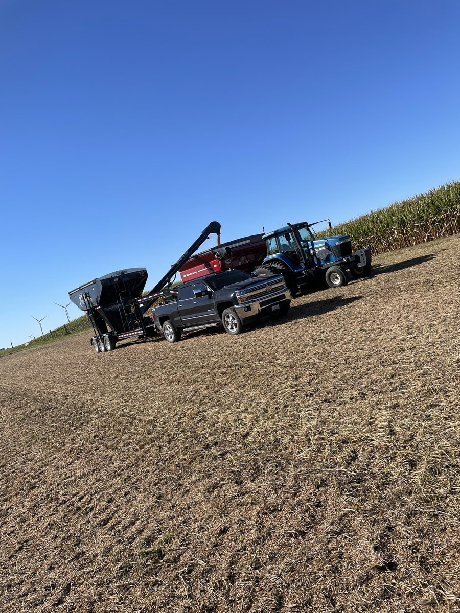 Rossvilleseed's tweet photo. Beautiful day for a yield monitor calibration.  New @PioneerSeeds P28A65E showing strong yield in East Central Illinois. https://t.co/RGEo3GDpjf