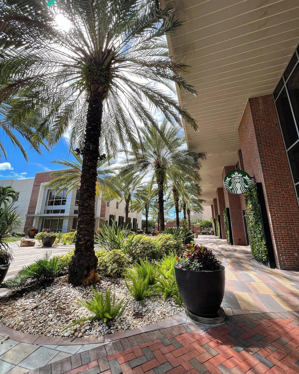 UofTampa's tweet photo. Campus views this afternoon - staff have been working hard to prep for residential students’ return tomorrow and for classes to resume Monday. https://t.co/eDCJNckvSb