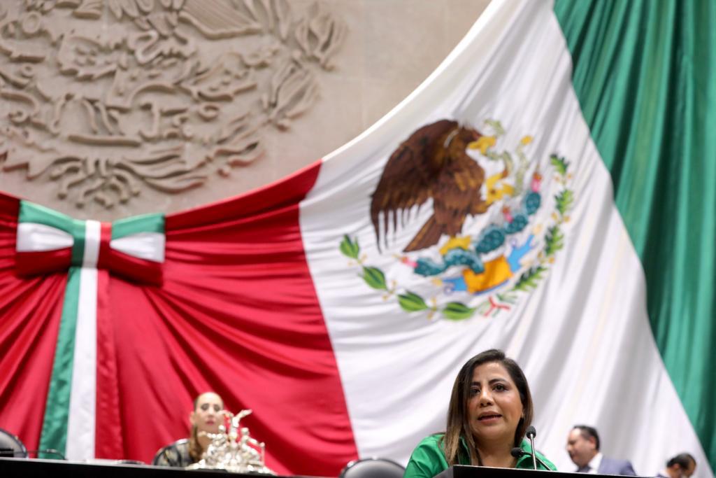 He presentado en nombre del <a href="/GPPRIDiputados/">Diputadas y Diputados Federales PRI</a> nuestro posicionamiento favorable a la reforma al 123 constitucional 📜, para que los adultos mayores 👵🏻👴🏻no sean discriminados y se prohíban límites de edad en las ofertas de empleo y en el ejercicio del servicio público.