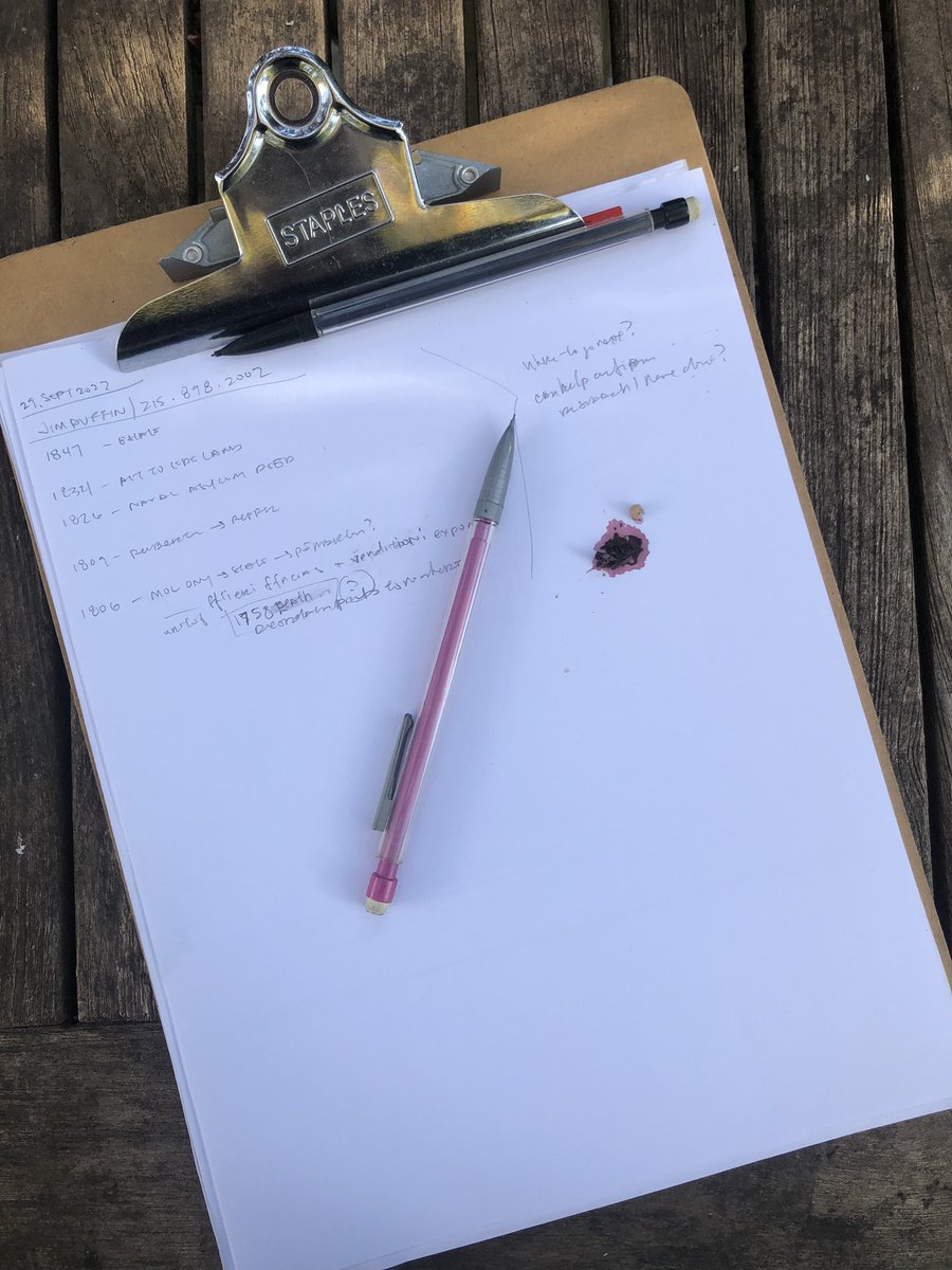thingsonshelves's tweet photo. A bird just shit on my homework. https://t.co/auXJGLCKuh