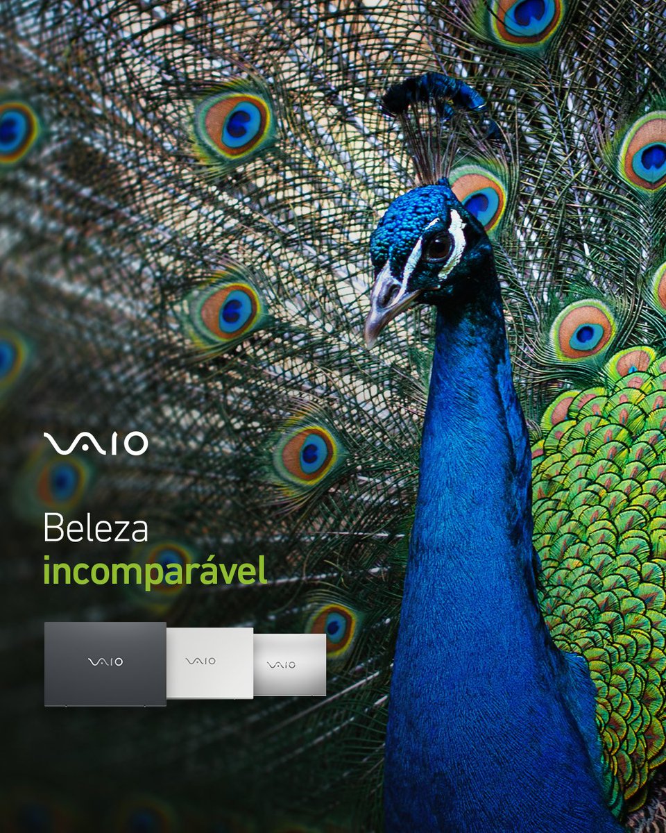 vaio_brasil's tweet photo. Quando se trata de beleza incomparável, a VAIO® entende. Aliada a um design único que só o VAIO® FE oferece!

#VAIO #VAIOFE #Beleza https://t.co/XxUIKT408q