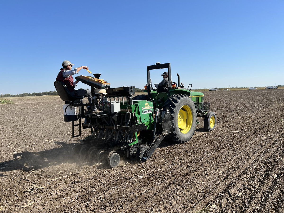 KSUWheat's tweet photo. Hundreds of #wheat variety x management plots down in Hays this morning! Great agronomy research by @KStateAgron in collaboration with @KansasWheat https://t.co/7ozfnNEHR3