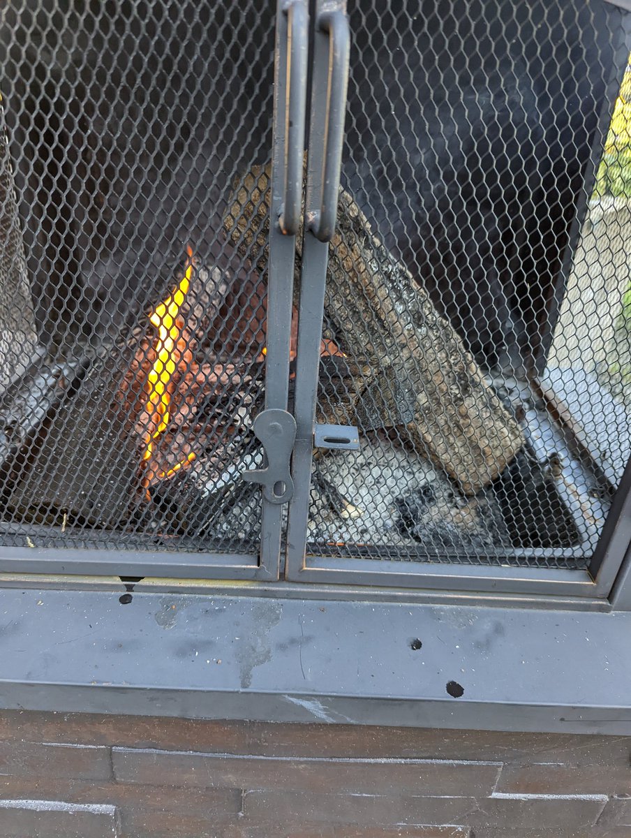 saltydogs's tweet photo. Love the fall. #vineYard life #winery #fallfire oh and them darn puppies. Lol. #dogsoftwitter #greatdane https://t.co/588xJEEJHw