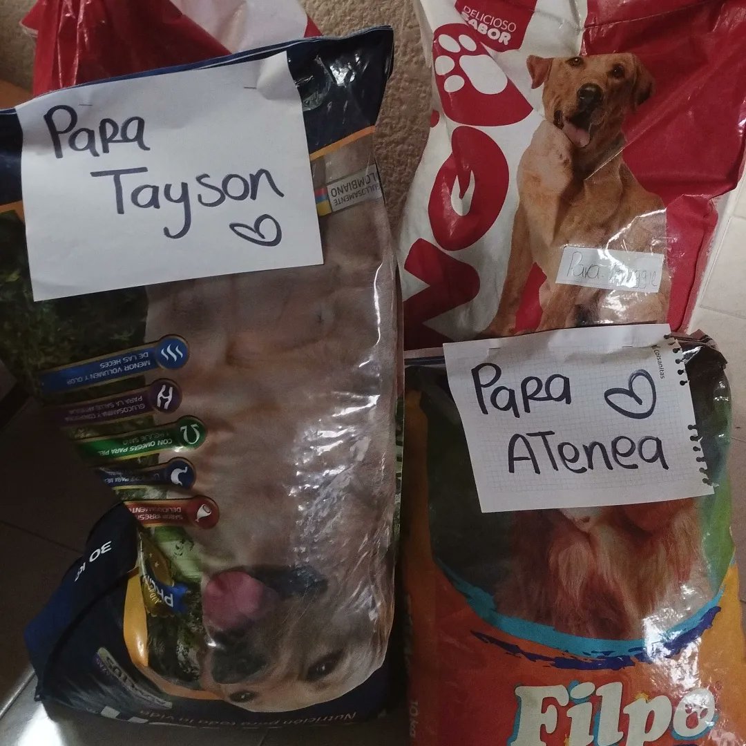 FundacionLucila's tweet photo. 4. Llevar el regalo hasta la fundación. Atención: fines de semana 9am - 3pm. Avisar un día antes de asistir para enviar la ubicación.
5. El Sábado 1 de Octubre estaremos en silveragro mascotas autopista norte #145A - 34 también pueden acercarse y dejar aquí sus regalos del https://t.co/bUbhgsOQ0U