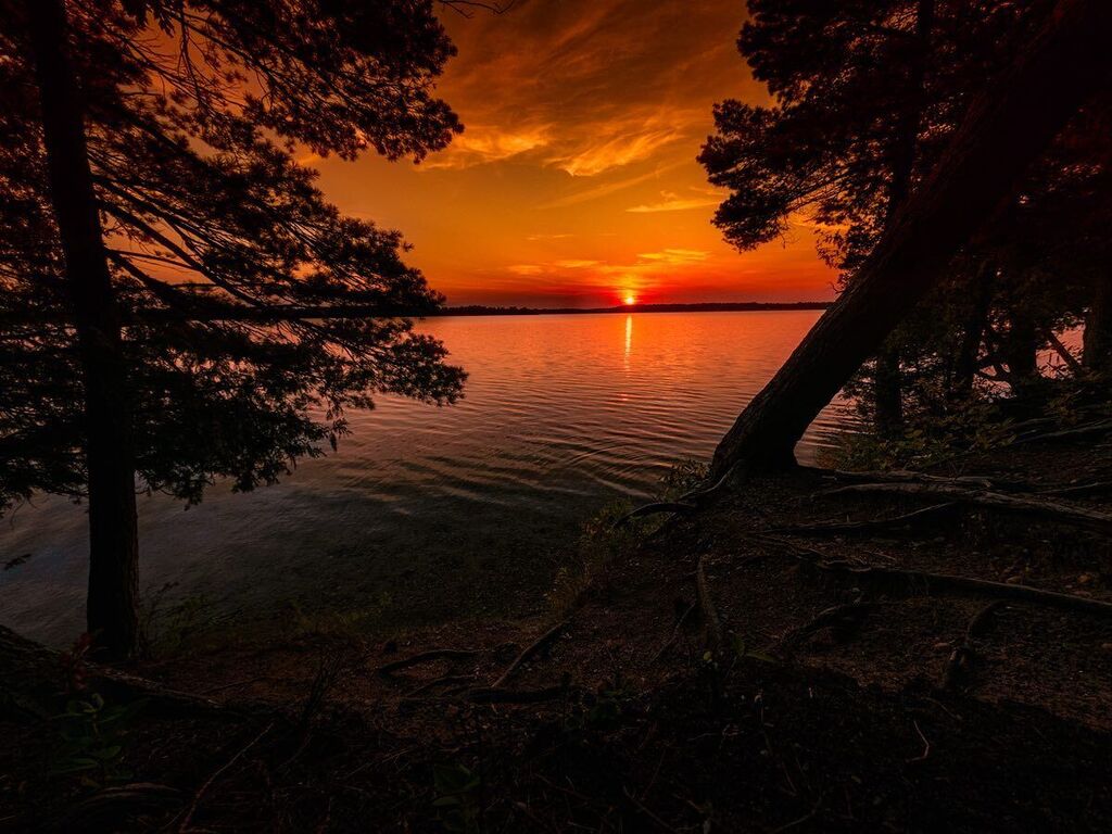 dennisbuchner's tweet image. Sunset at Interlochen State Park #mistateparks #puremichigan  #photography #nature #instagood #chasinglight #naturephotography #sunset #traverseapparelco #outdoors #photooftheday #art #picoftheday  #beauty #photographer #explore  #michigan #michiganders … instagr.am/p/CjGrN__PdCN/