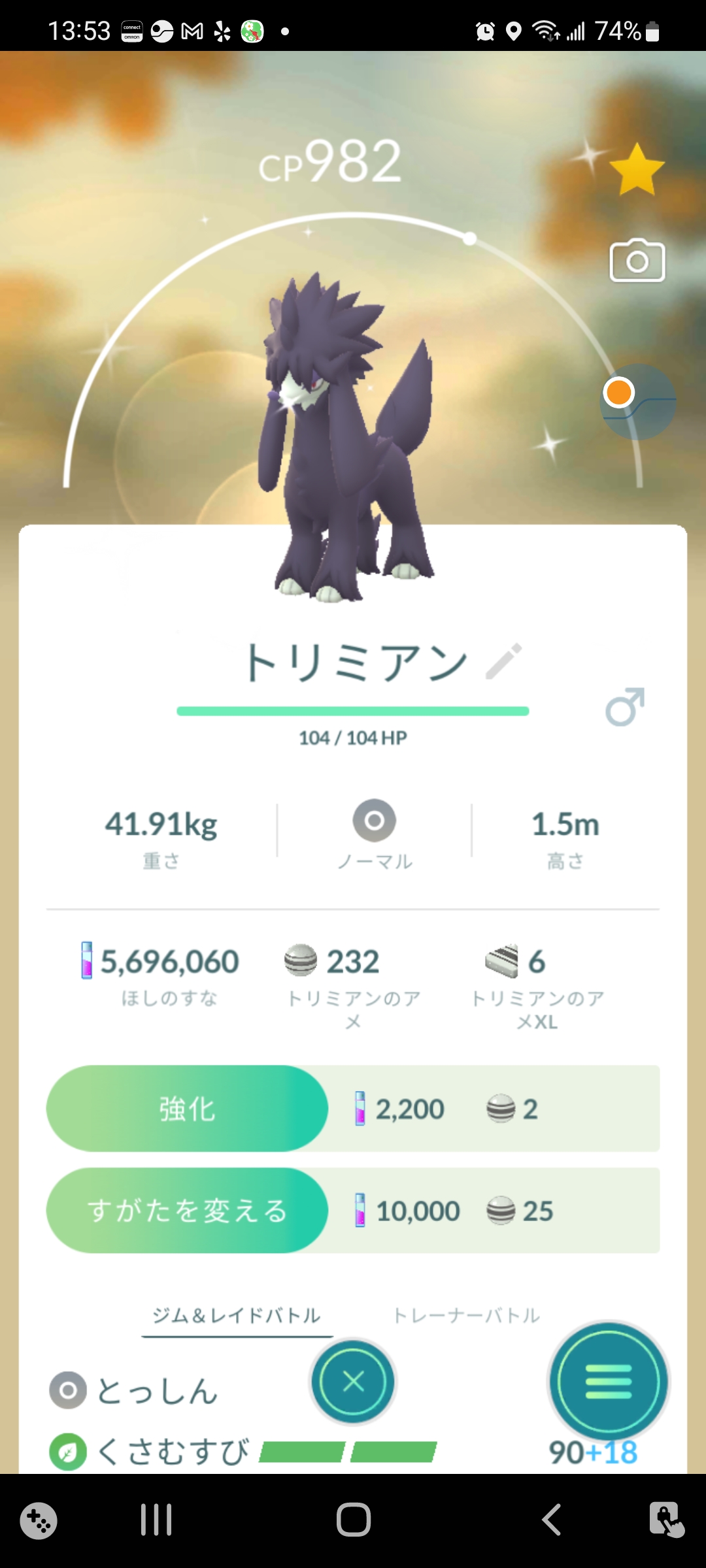 Hiroko La ヒスイ地方冒険中 Raylunamom Twitter