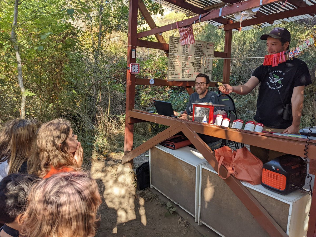 visii_school's tweet photo. Today some of the learners got to visit @RockyPointBird's banding station at Pedder Bay! Lead bander David taught us so much, and each learner even got to release a bird. 🐦🪶 https://t.co/RSBKfhCeVy