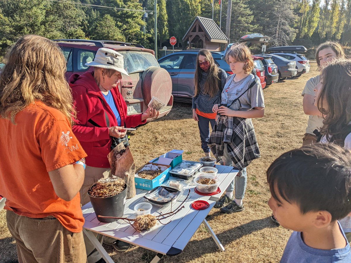 visii_school's tweet photo. Today some of the learners got to visit @RockyPointBird's banding station at Pedder Bay! Lead bander David taught us so much, and each learner even got to release a bird. 🐦🪶 https://t.co/RSBKfhCeVy