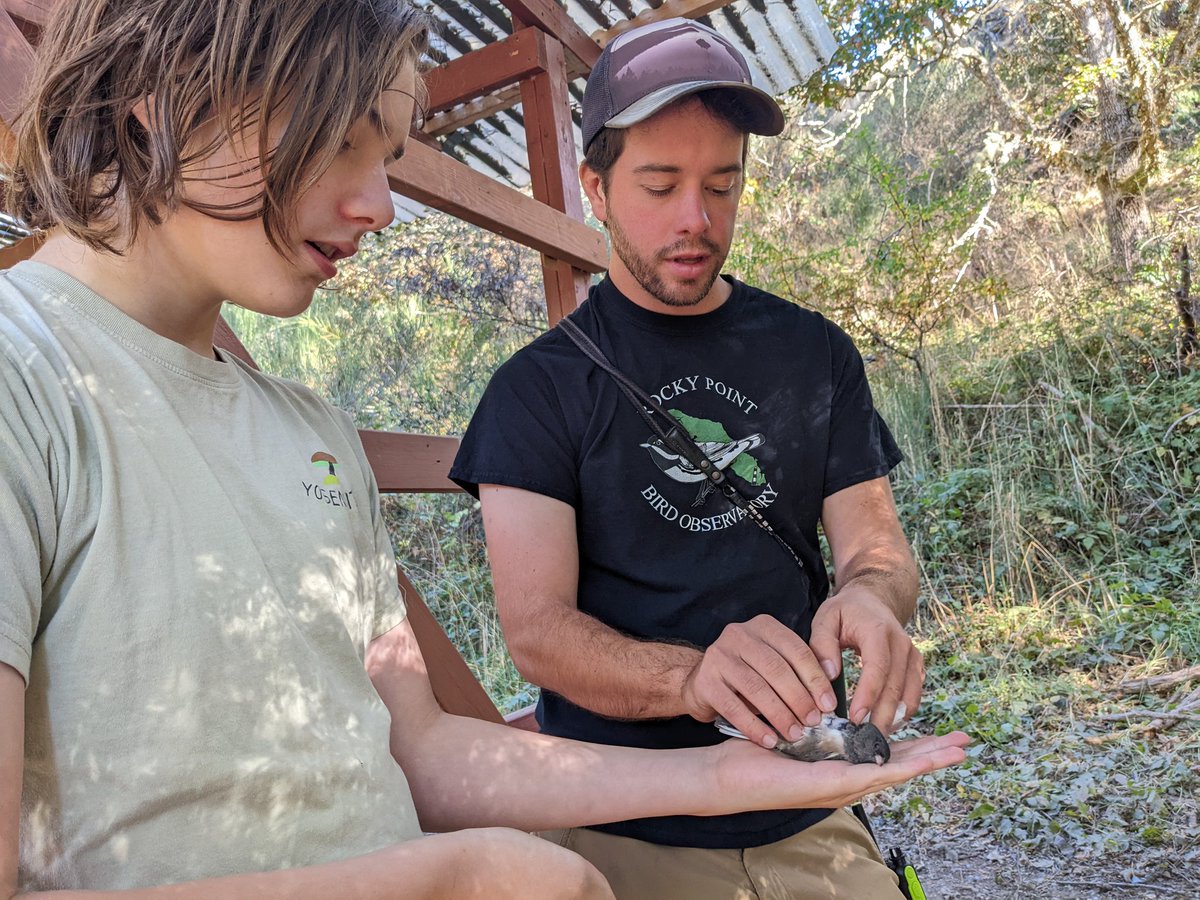 visii_school's tweet photo. Today some of the learners got to visit @RockyPointBird's banding station at Pedder Bay! Lead bander David taught us so much, and each learner even got to release a bird. 🐦🪶 https://t.co/RSBKfhCeVy