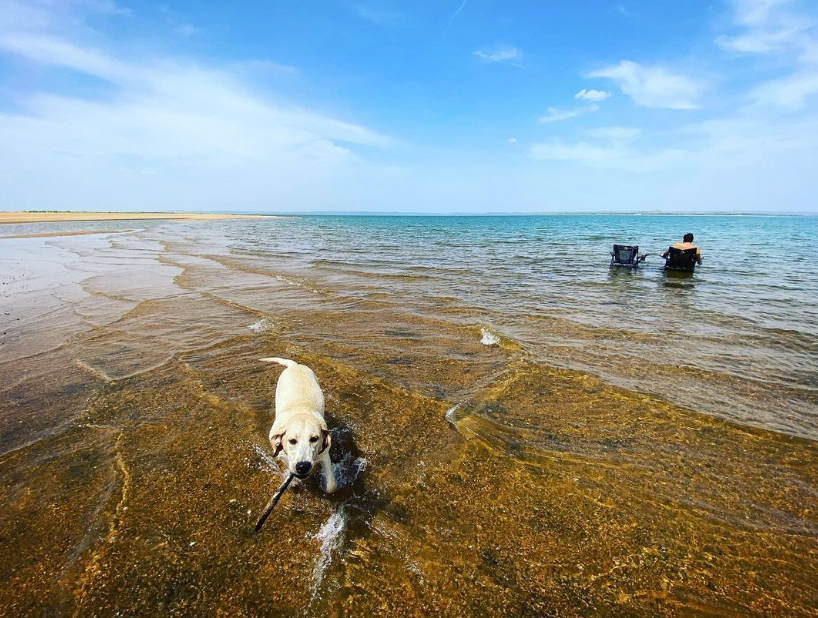 BruceAllenJone5's tweet photo. Before the cold weather returns, make sure that you take one last trip to Lake Buchanan to enjoy an amazing day out on the water. Itโs a trip you wonโt regret! ๐๐ถ
๐ท | @sarap512
#furbabies #funintexas #texaslife #texascountry #texasstyle #texasfoodie #texassunset #texasliving https://t.co/zxuP7pMs8c
