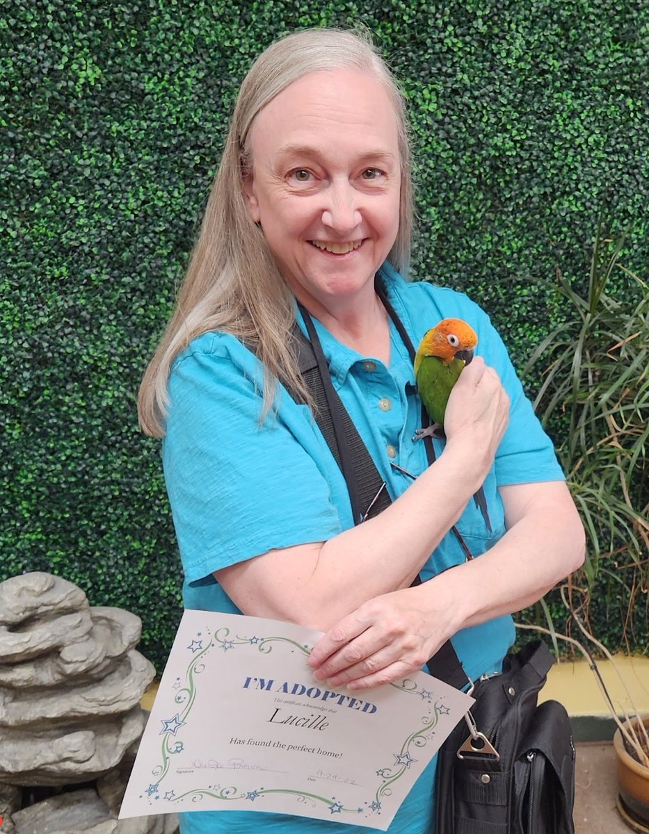 Ronies for The Love Of Birds tweet media