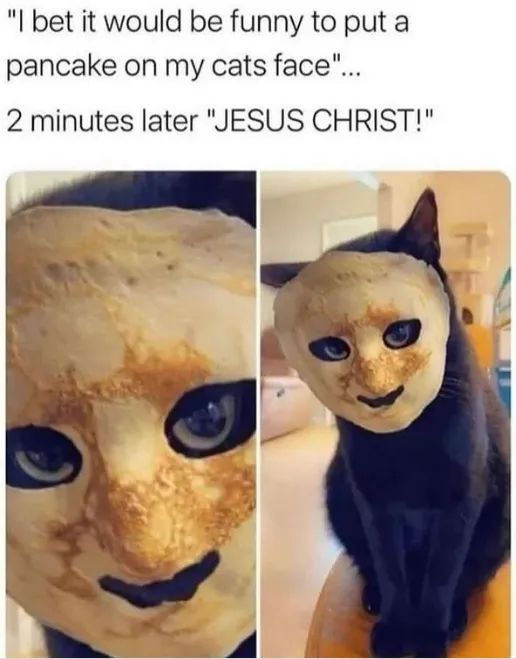 SRAlbatross's tweet photo. Memes https://t.co/R2TstPmN8d
